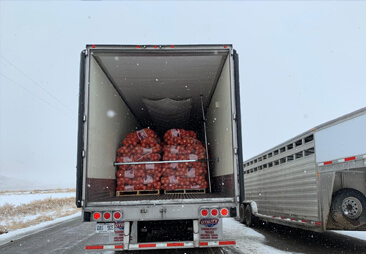 Are you in the business of frozen food products and perishable items? We are here with reliable and cost-effective Frozen Food Transportation Services in Florida. hotlandcarrier.com/frozen-food-sh… #Trucking_Companies #Trucking_Services #Trucking_Florida #Truckingcompany