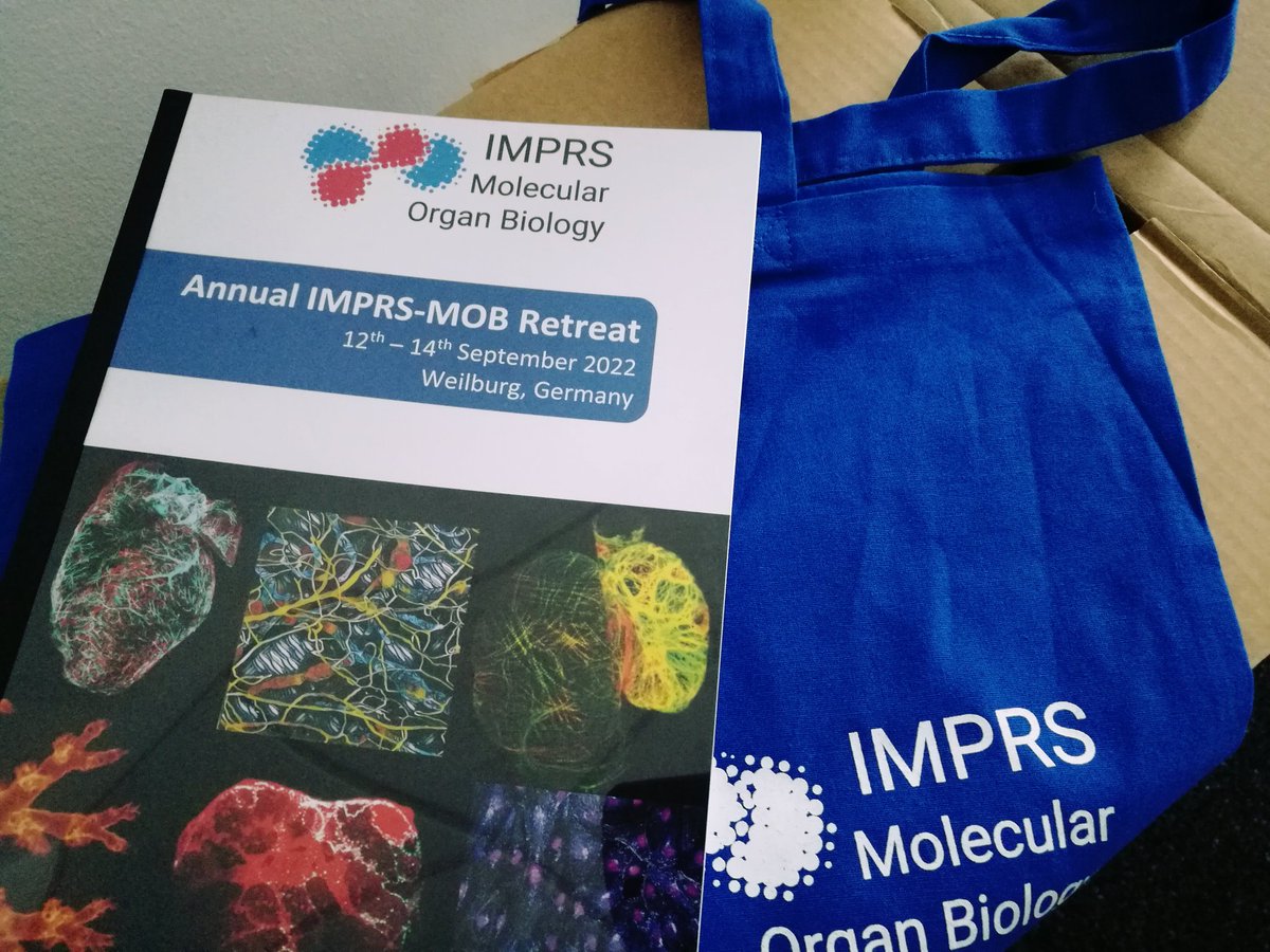 IMPRS_MOB's tweet photo. After a 2 years break, we meet again: IMPRS-MOB retreat 2022 in Weilburg! Kicking off the retreat with a poster session. Great opportunity for our students to exchange and discuss science! #networking #phdlife https://t.co/uqRCn1lzjs