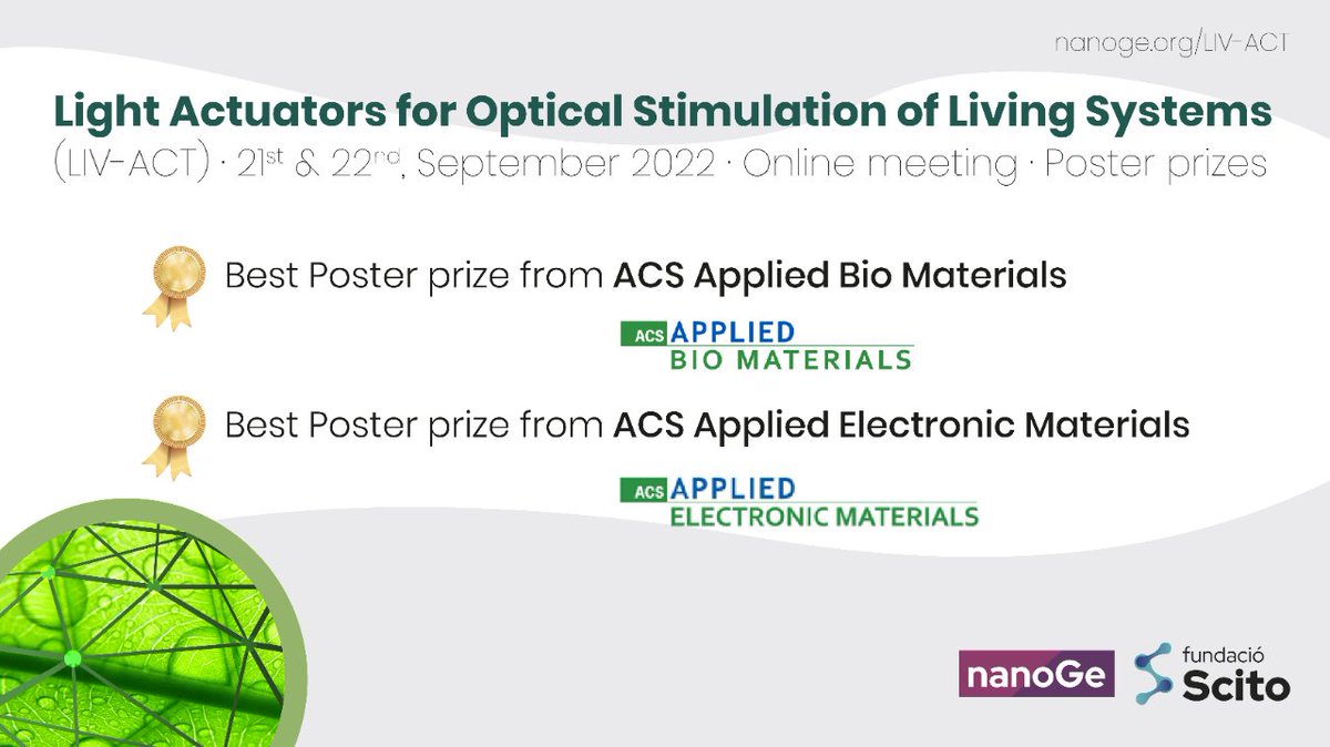 nanoGe_Conf's tweet photo. 👉Discover more of "#Light Actuators for #Optical Stimulation of Living Systems". Submitting your poster you can win prizes from ACS Applied Bio Materials and Applied Electronic Materials #LIVACT.
🗓️ 21-22 Sept. 2022, Online.
▶ Submit your poster here: https://t.co/xTKZI8Gli3 https://t.co/64ujlom52C