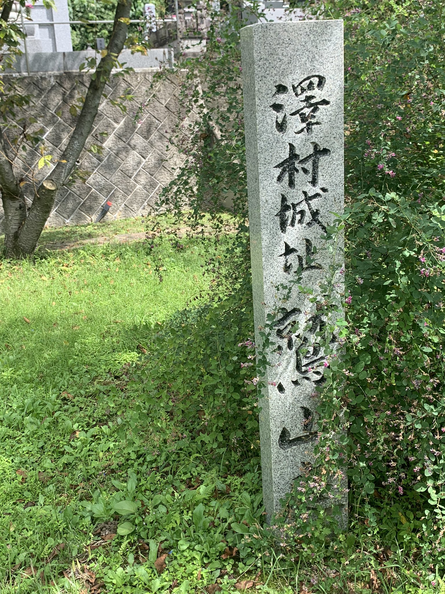 紅のヒツジ on Twitter 