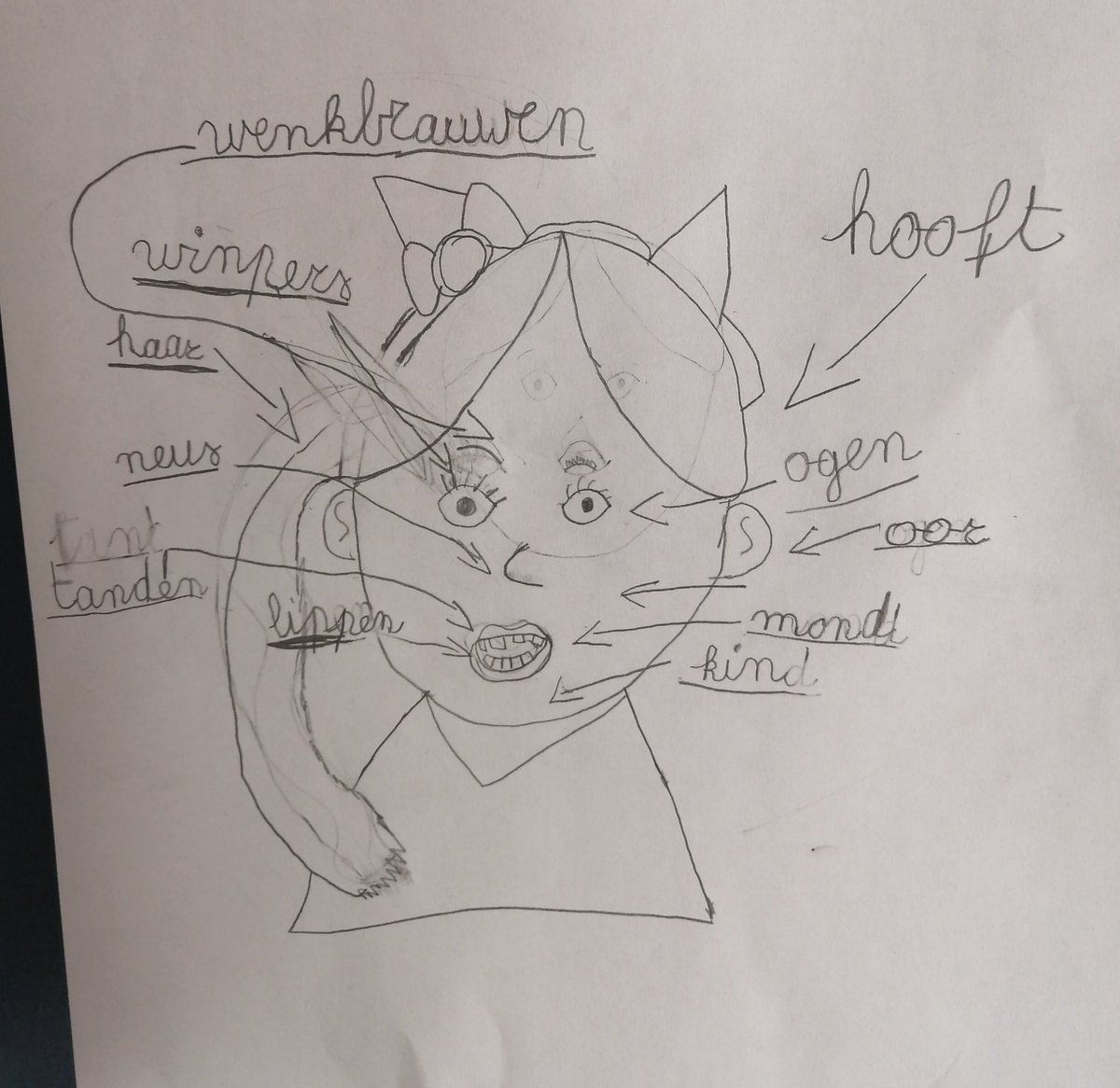 mariska_celis's tweet photo. Mooi praktijkvoorbeeld uit het 2e leerjaar. Lesdoel: ik kan de delen van het hoofd benoemen. #EDI #slowteaching #aantekeningen https://t.co/mhhUGvFijV