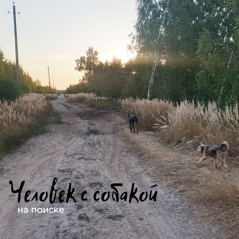 Кто может приехать на поиск с собакой? 

Да в целом, кто угодно, у кого есть собака (если нет, можно попробовать найти по пути 🤭). Открытым остается только вопрос допуска.  👉🏻 telegra.ph/Sobaka-na-pois… (про кинологов, усиление и ещё богизнаютчто...)