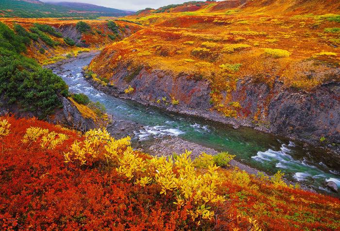 Зверев Сергей tweet media