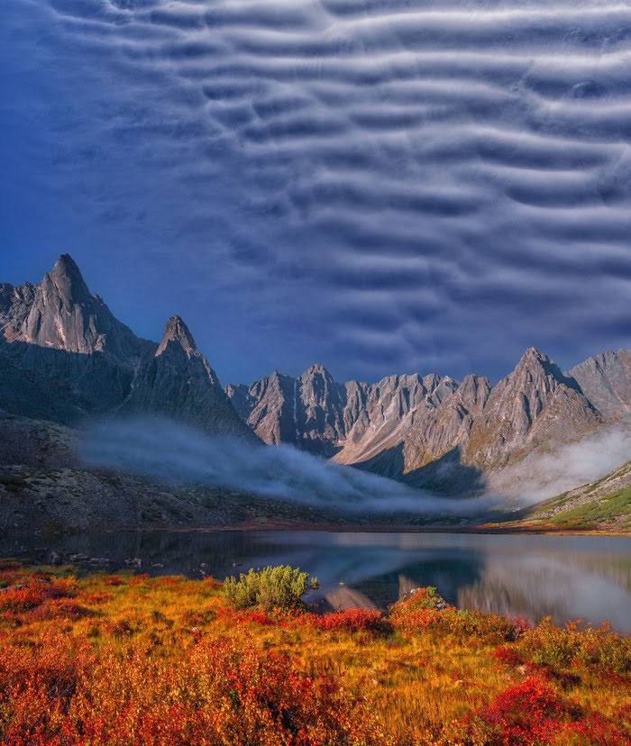 Зверев Сергей tweet media