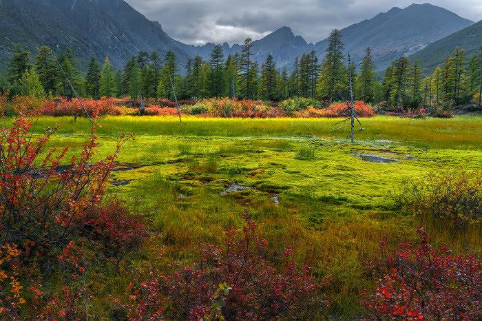 Зверев Сергей tweet media