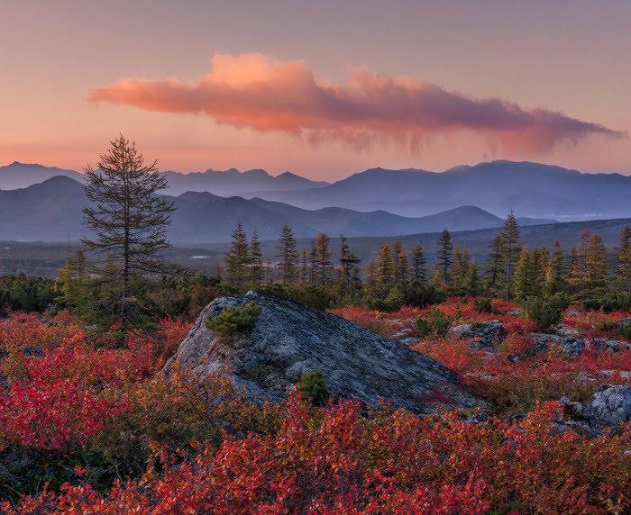 Зверев Сергей tweet media