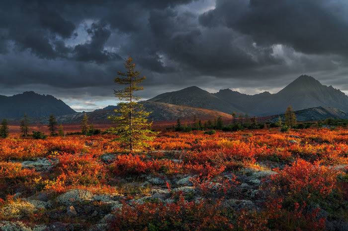 Зверев Сергей tweet media