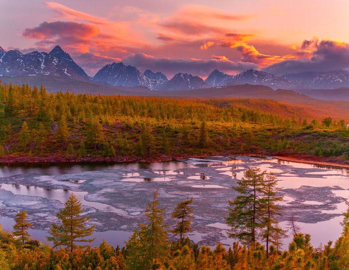 Зверев Сергей tweet media