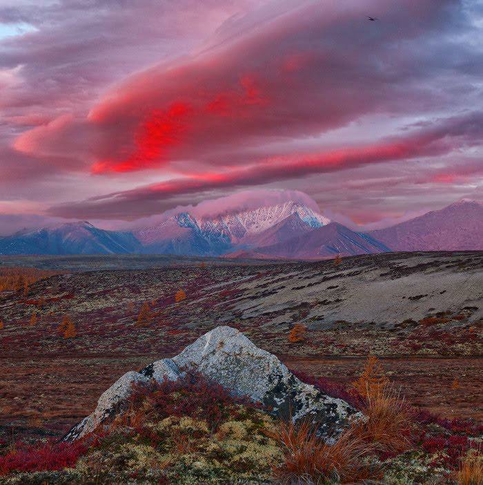 Зверев Сергей tweet media