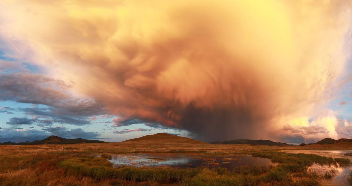 Зверев Сергей tweet media