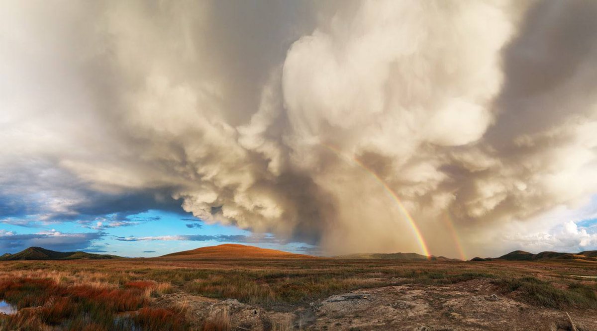 Зверев Сергей tweet media