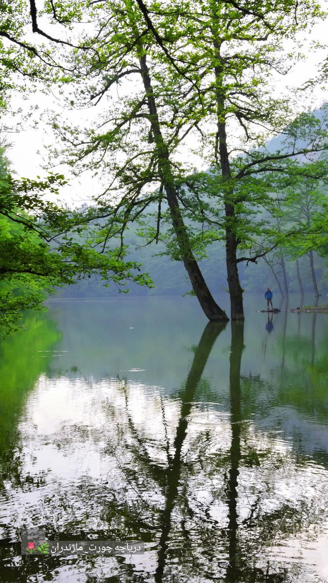 بحيرة جورت (بالفارسية درياچه چورت) في شمال إيران

تصوير: فرهاد كوليوند

#طبيعة #بحيرة #سفر #Iran #lake