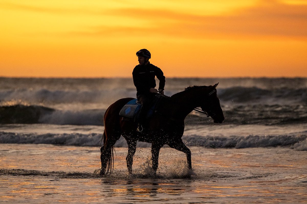 SKY Racing tweet media