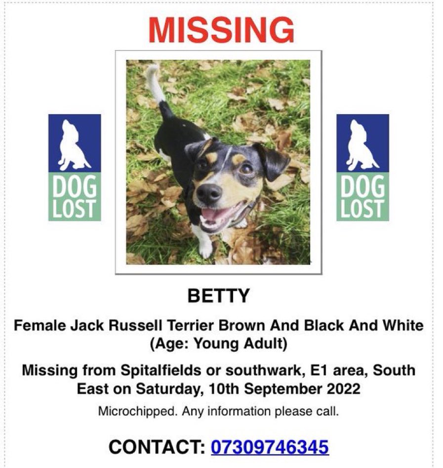 michelrouxjr's tweet photo. Please help @AngelaHartnett find Betty 🙏🏻 https://t.co/XPMsVvoVle