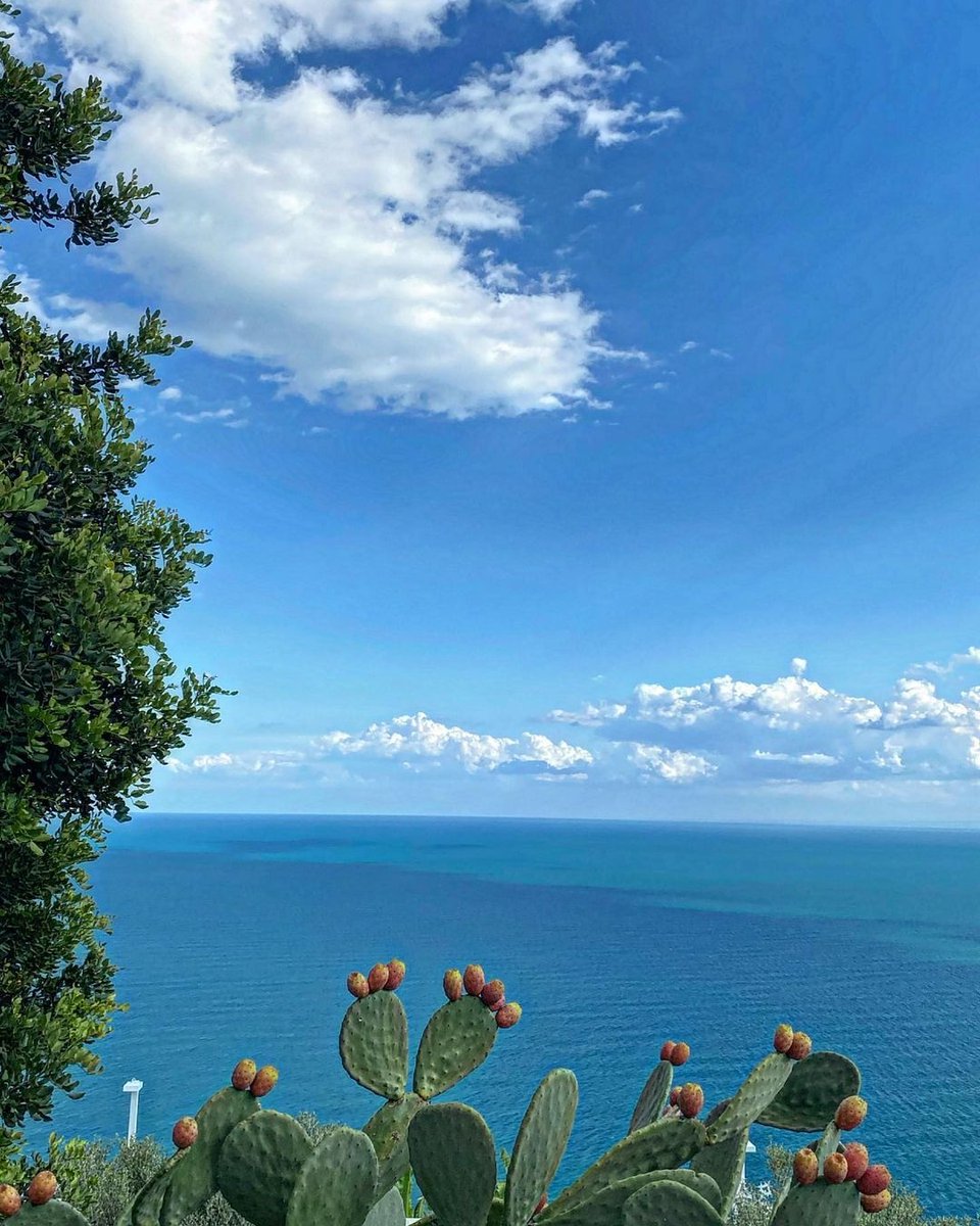 📍Mattinata (FG)
Niente è meglio del mare a settembre.
Foto di @lucia_di_stefano
Usa i nostri hashtag #igersfoggia #igerspuglia #igersitalia per entrare a far parte della nostra gallery