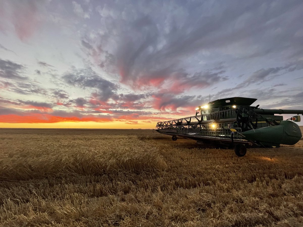 Bailey Vlahov tweet media