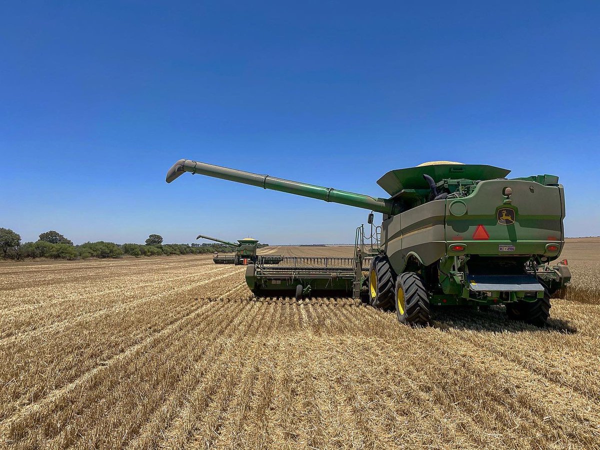 Bailey Vlahov tweet media