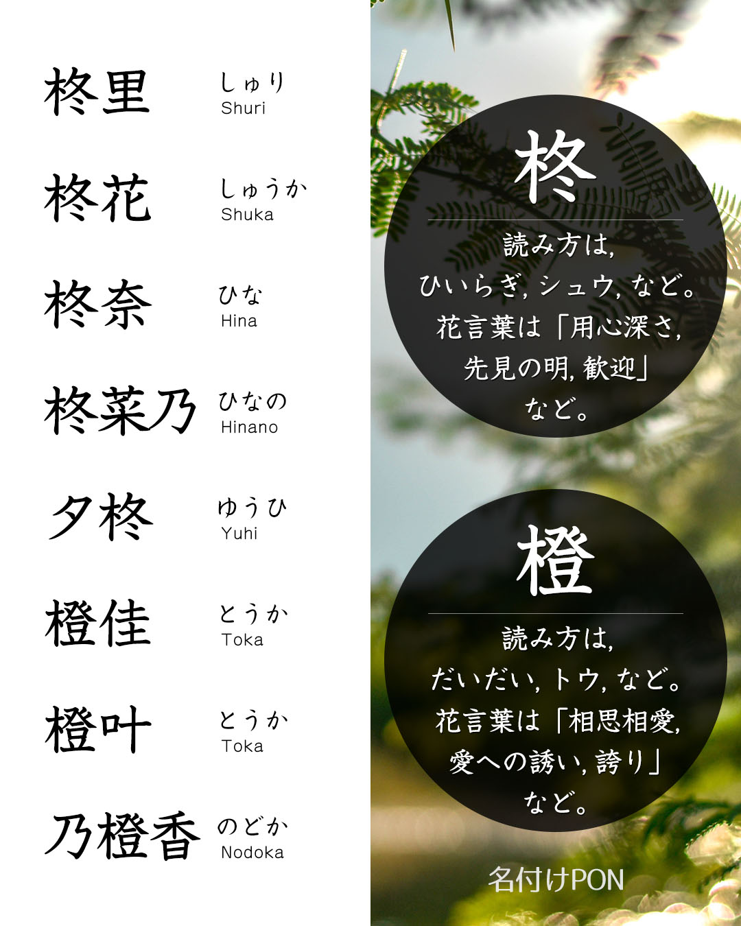 Tweets With Replies By 名付けポン 赤ちゃんの名前集 Nazukepon Twitter