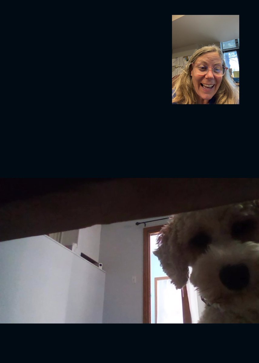 DenaBielski's tweet photo. Put an Amazon camera in the living room, so Grandma could call and talk to Mae whenever she wanted and this might me the sweetest thing I’ve ever seen 🥰😍 https://t.co/h9WY3VWSG2