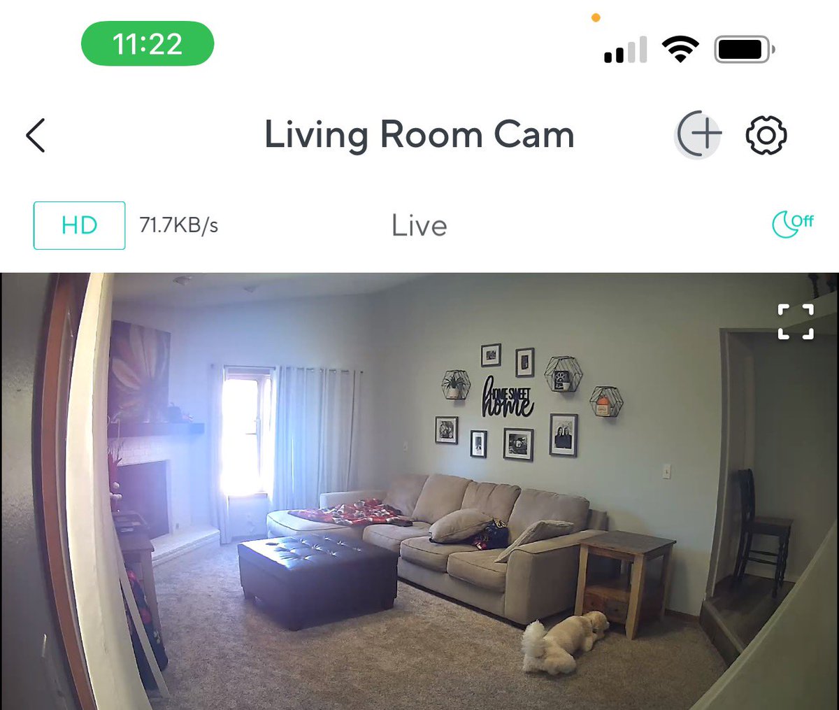 DenaBielski's tweet photo. Put an Amazon camera in the living room, so Grandma could call and talk to Mae whenever she wanted and this might me the sweetest thing I’ve ever seen 🥰😍 https://t.co/h9WY3VWSG2
