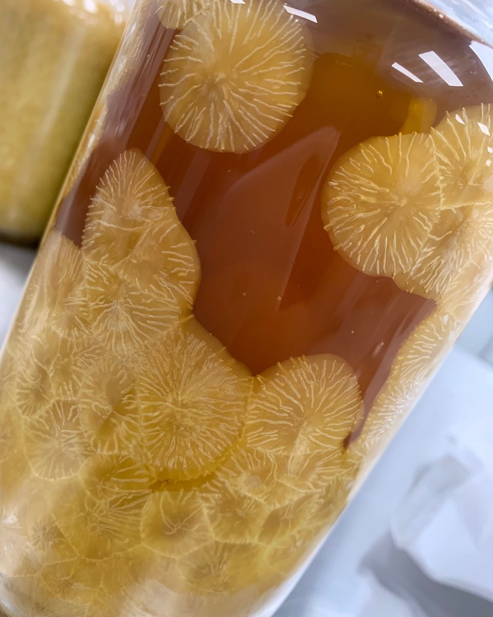 Lab Society tweet media