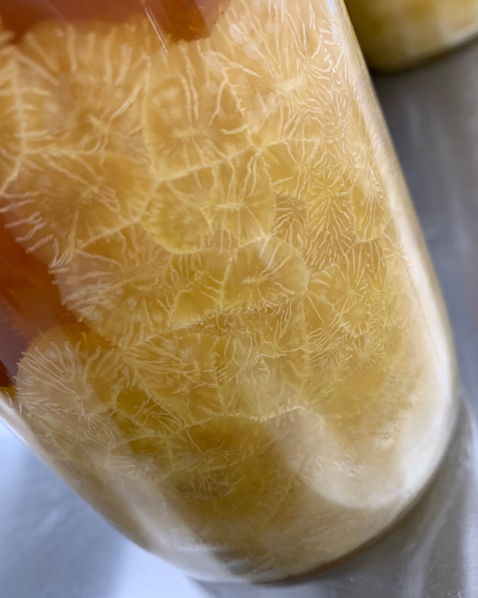 Lab Society tweet media