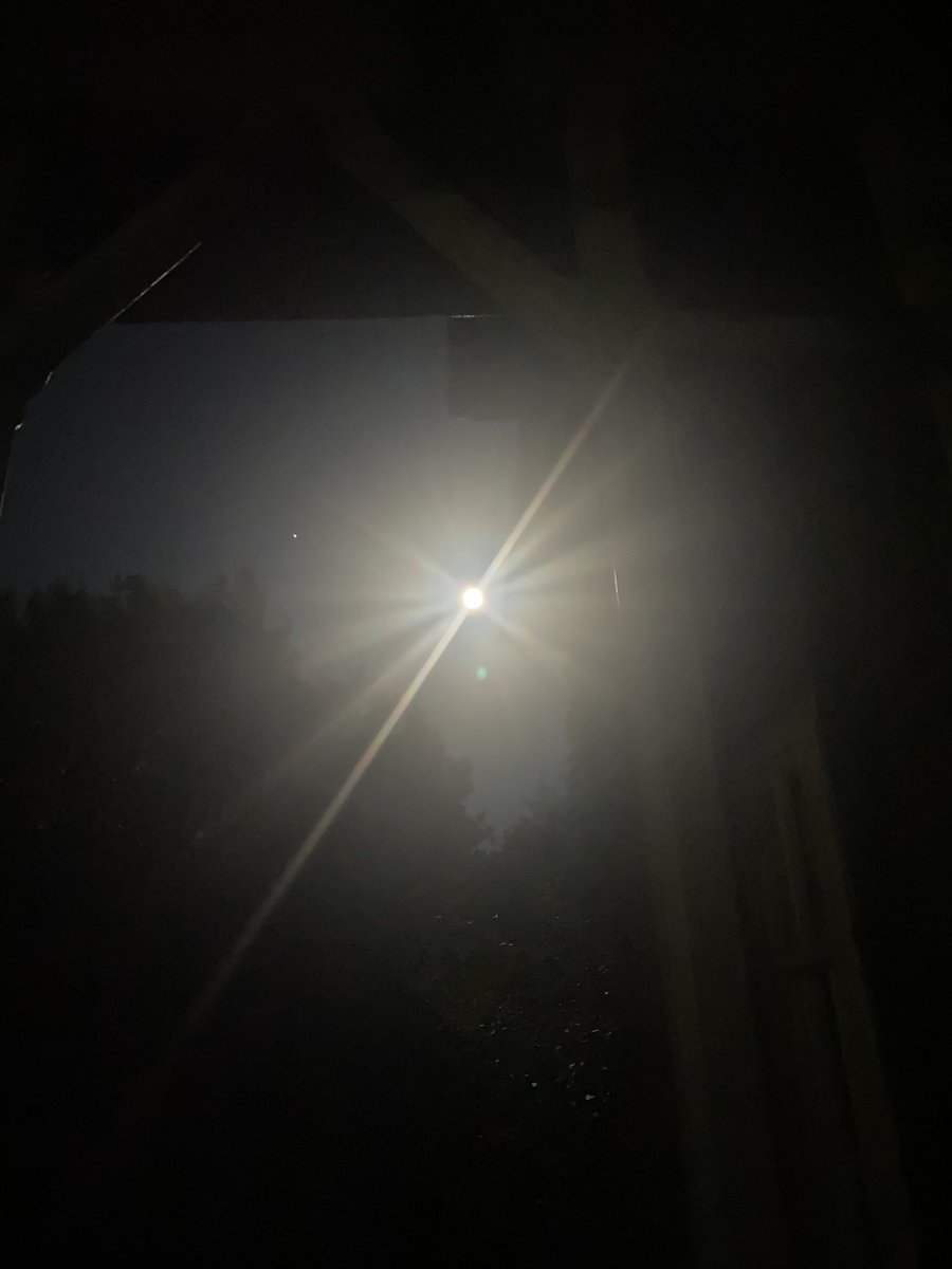 Lorna Collier tweet media