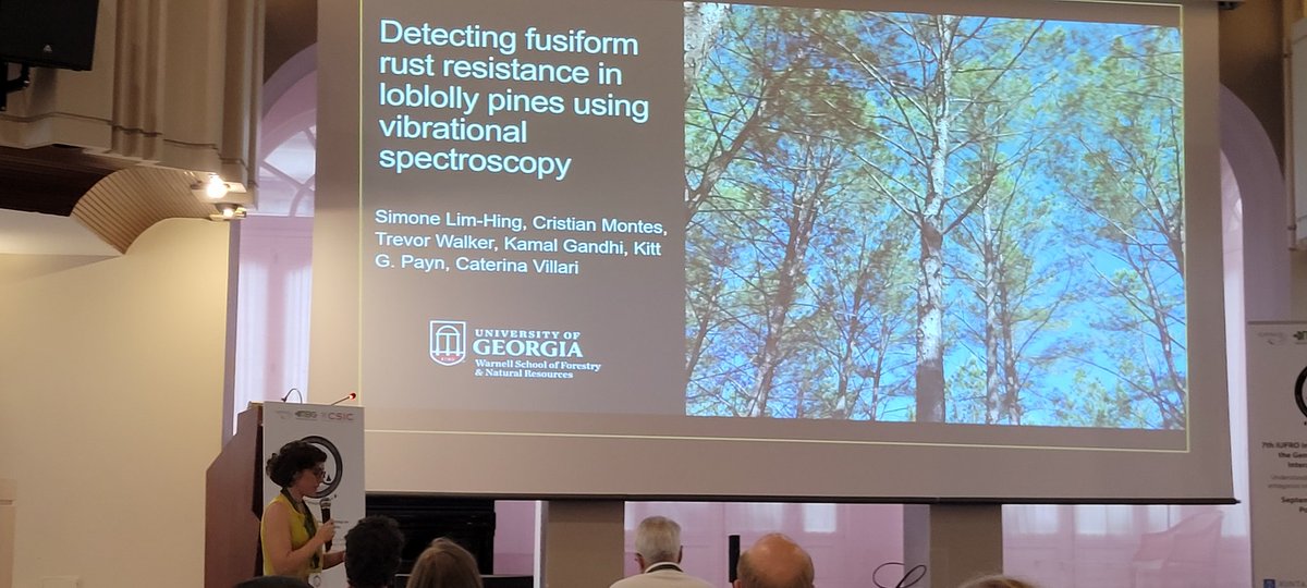 LabNowicki's tweet image. Loblolly pine resistance IS achievable! Caterina Villari talk  @7GTPI2022 gave insights into this #Vibrational #Spectroscopy