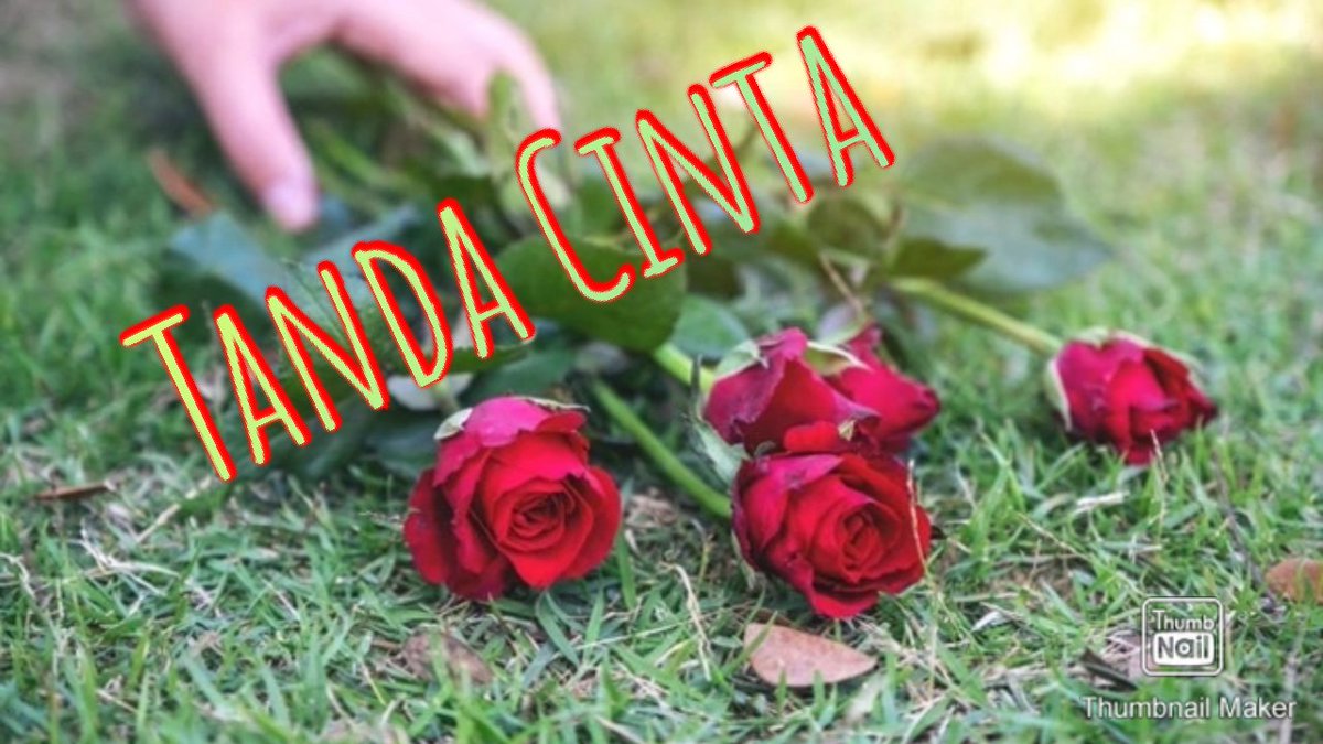 @nkri_hargamati (@cahndes54010084) on Twitter photo 