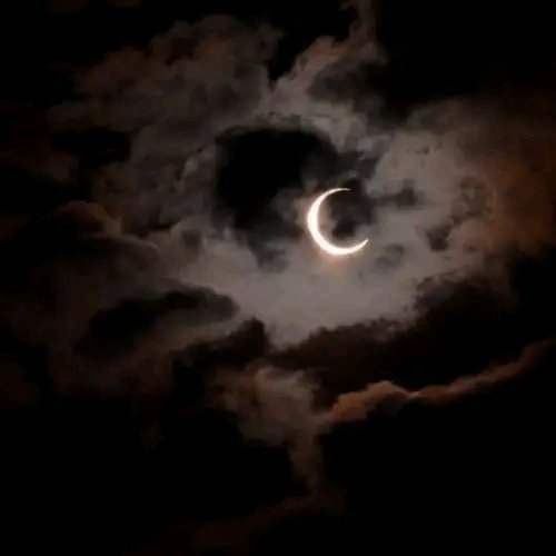 ㅤㅤㅤ
ㅤㅤㅤในยามนี้มีเพียงอนธการกับรัตติกรครอบครองอำพรเสียเท่านั้น ดวงดาราที่เคยเด่นหรากลับเลือนหายไป เขาได้แต่คิดเวียนวนฉงนสงสัย เหตุไฉนถึงเป็นเช่นนี้ 
ㅤㅤㅤ