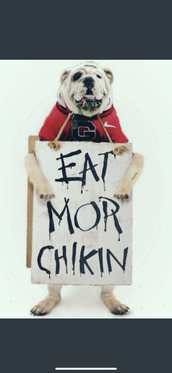 Theme of the Week😂👊🏻🐶🏆☝🏻