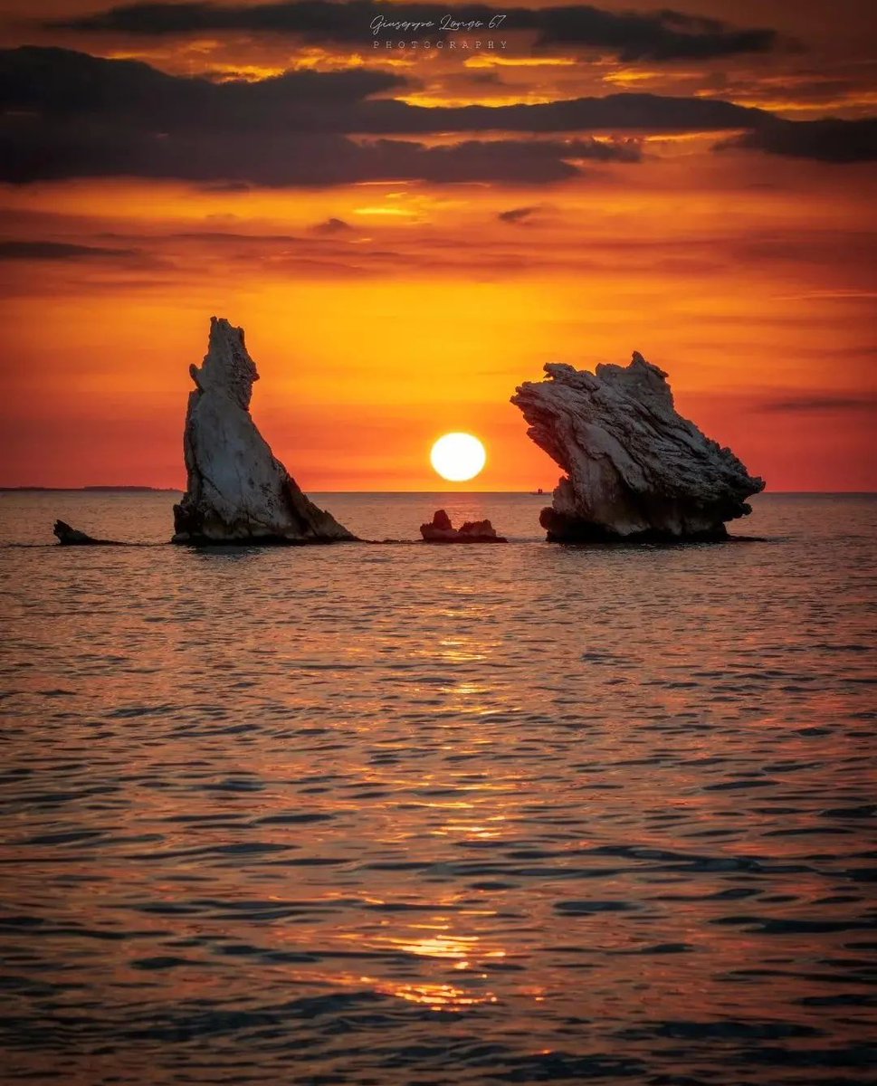 Daniella_C1804's tweet photo. Good evening 💫📷 https://t.co/XnUgkbAiTJ