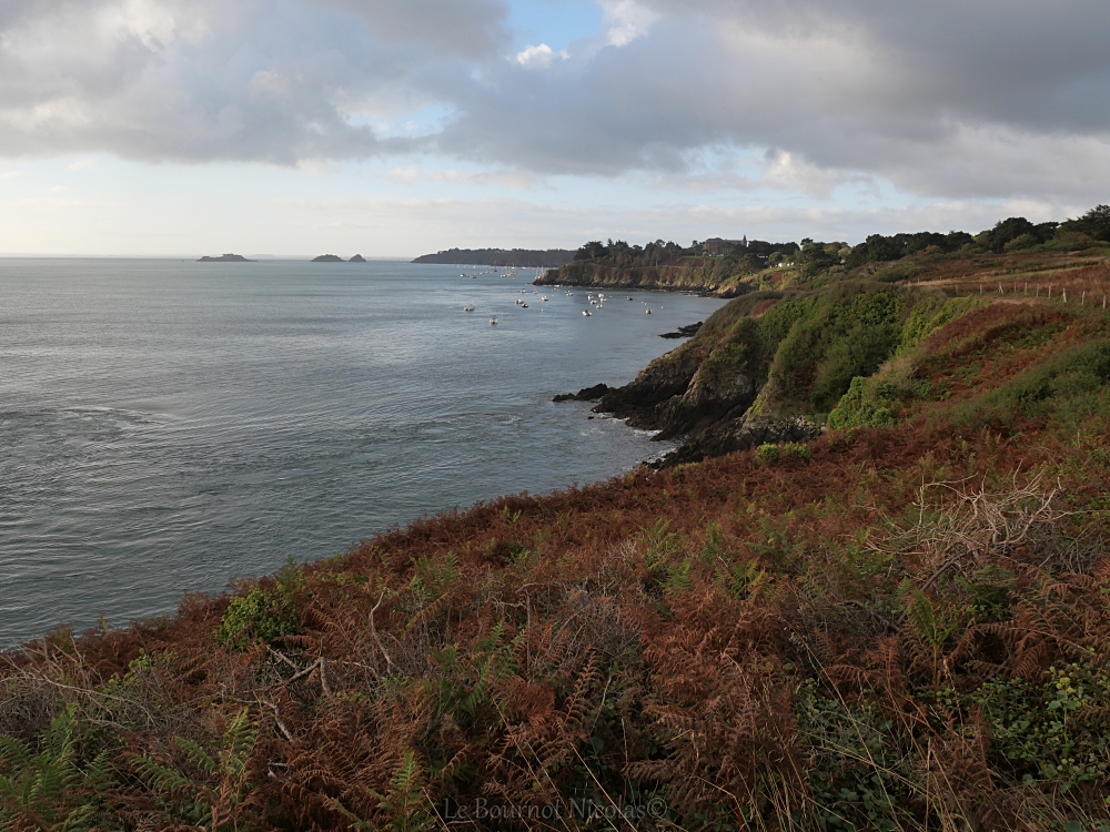 NicolasleB2's tweet photo. Dans la baie du Mont Saint-Michel à Cancale 
Bonne soirée 
#cancale  #illeetvilaine #Bretagne  #MagnifiqueBretagne #MagnifiqueFrance 
#cotedemeraude https://t.co/KlQDcmDgNn