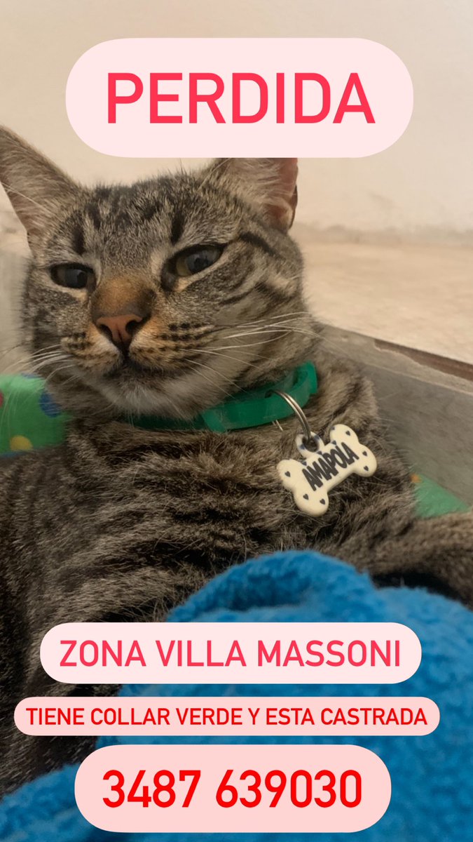 compartan por favor 🙏🏻 se fue el día de la tormenta y no volvió mas