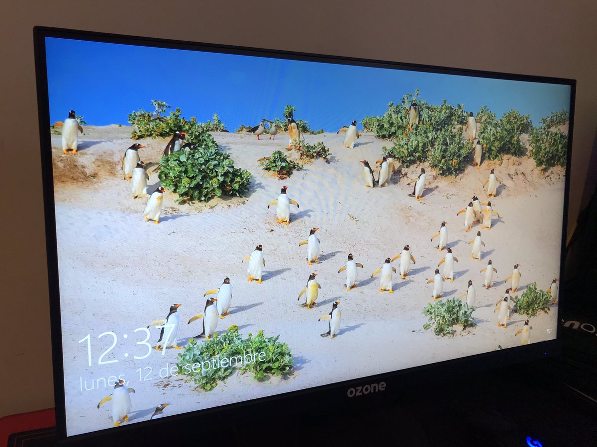 Vendo monitor Ozone DSP24 240hz, está con caja, en perfecto estado y con sus respectivos cables, cualquier duda por dm.

RT Se agradece