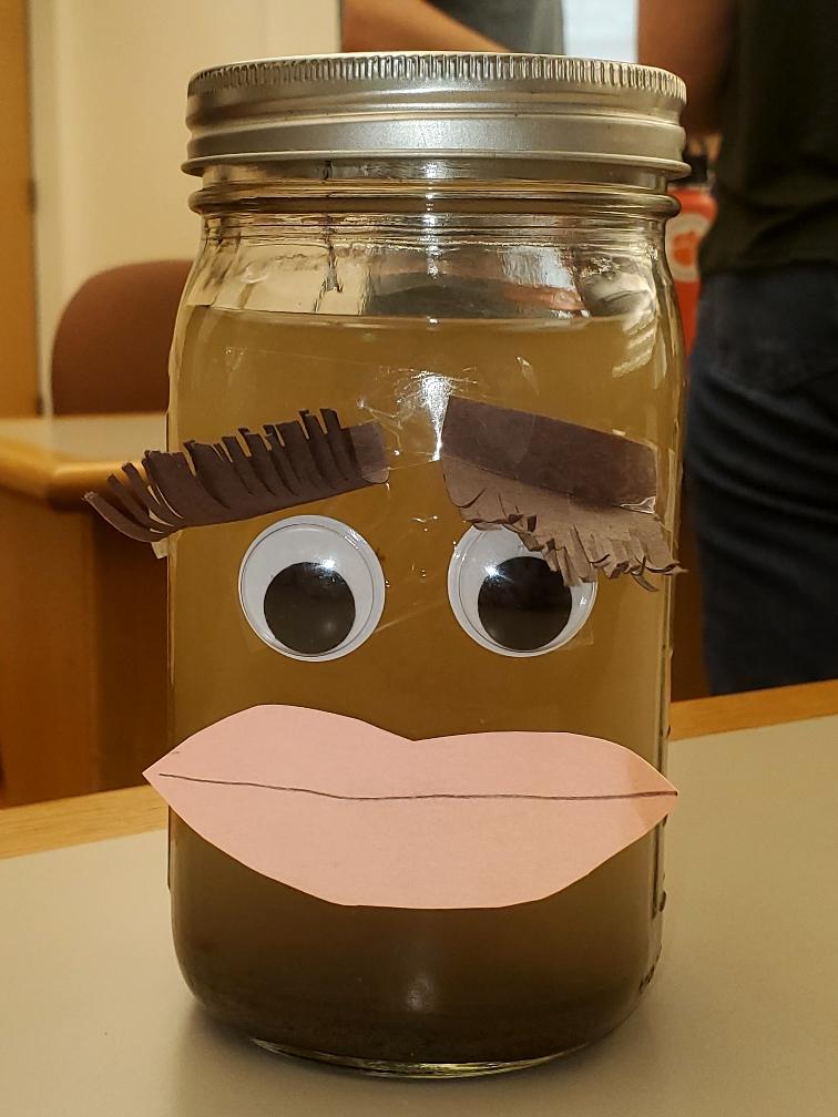 We had such a great time learning about all of the amazing work being done by our NRESS-affiliated labs here at UNH. Thanks for all who participated (and brought props!) and to all who came out to listen! Next seminar (Sept. 21), we welcome Dr. Karina Sanchez!
