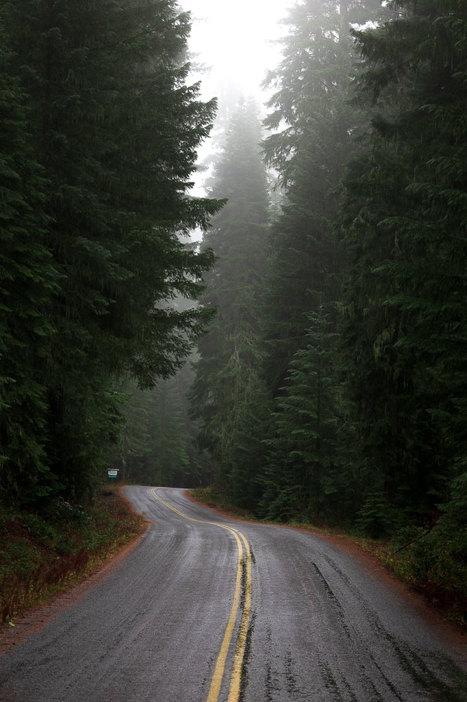 Oregon backroads🌲