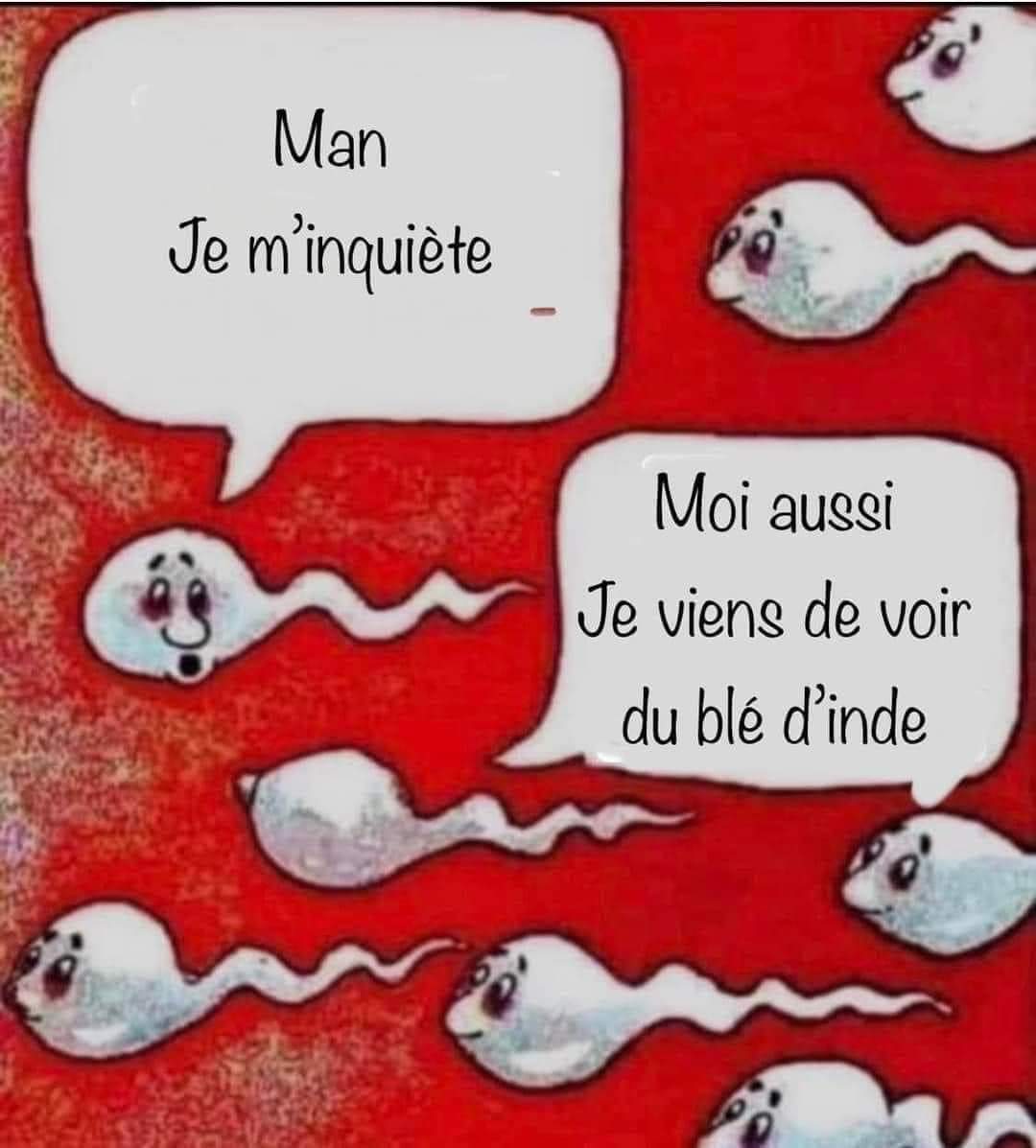 🤣🤣