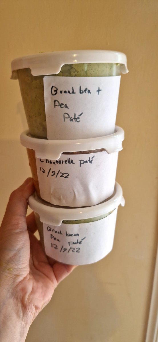 cairi_balmain's tweet photo. Garden grown and forest foraged pate for the freezer. Broadbean and pea 🌿Chanterelle 🍄 #growtoeat #sustainablefood #foodstory #foodtwitter https://t.co/Y7Oi6XlMyN