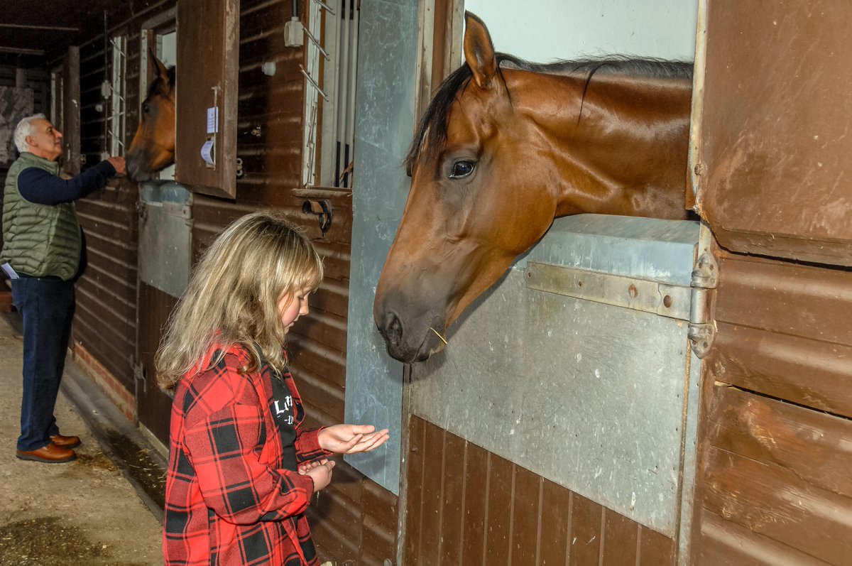 GBRacing's tweet photo. "What better way for people to express their love and gratitude for The Queen than to get close to the animals that brought her such immense pleasure throughout her life?"

A special #NationaRacehorseWeek is underway https://t.co/eWO6PKPDXY