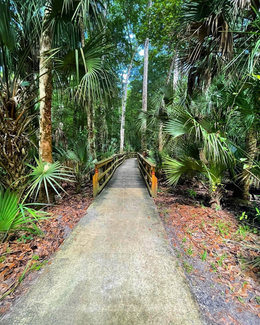 VISITFLORIDA's tweet photo. #DYK? Highlands Hammock State Park is one of the highest ranking parks in Florida for endemic biodiversity! The park consists of lush ferns, old oaks, nature trails, &amp; wildlife. Have you ever strolled through?🌱 #LoveFL

📸IG: flweekendexplorers
📍: Highlands Hammock State Park https://t.co/EzmViNVoqR