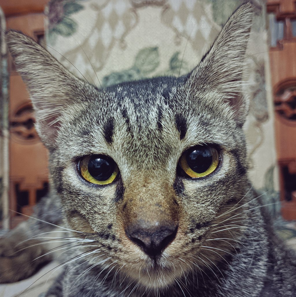 Onedhez_'s tweet photo. Selfie https://t.co/2DX8eLrdkr