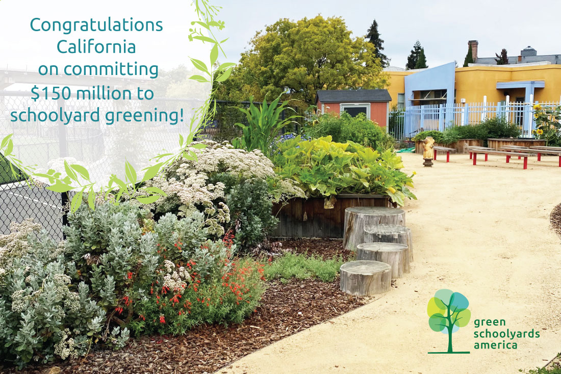 livingschoolyrd's tweet photo. Last week was amazing  for California’s green schoolyards—and children! We’re thrilled  the state budget now includes an  investment of $150 million over the next three years to create green schoolyards at K-12 schools across the state. https://t.co/3UNA9Qm9fs https://t.co/b9uxRjDxp0