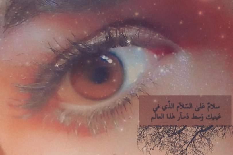 عيونك جن صلاه ليل بيهن يستلذ بس اليحب الله 🌹🌹🌹⚔️🌟بنت العراق 🇮🇶🇮🇶🇮🇶♥️