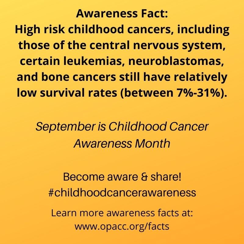 OpaccOrg's tweet photo. #childhoodcancerawareness #ChildhoodCancerAwarenessMonth #opacc https://t.co/BXASKfRyRC