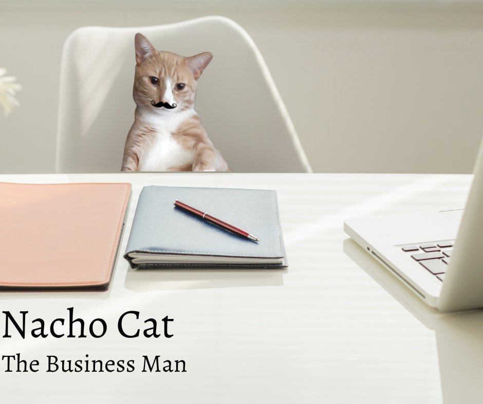 BestBetterStore's tweet photo. Upgrading to pro on #Canva has been well worth it for our small business😸 #CatsOfTwitter #cat #NachoCat https://t.co/YGZ3yUEE8Z