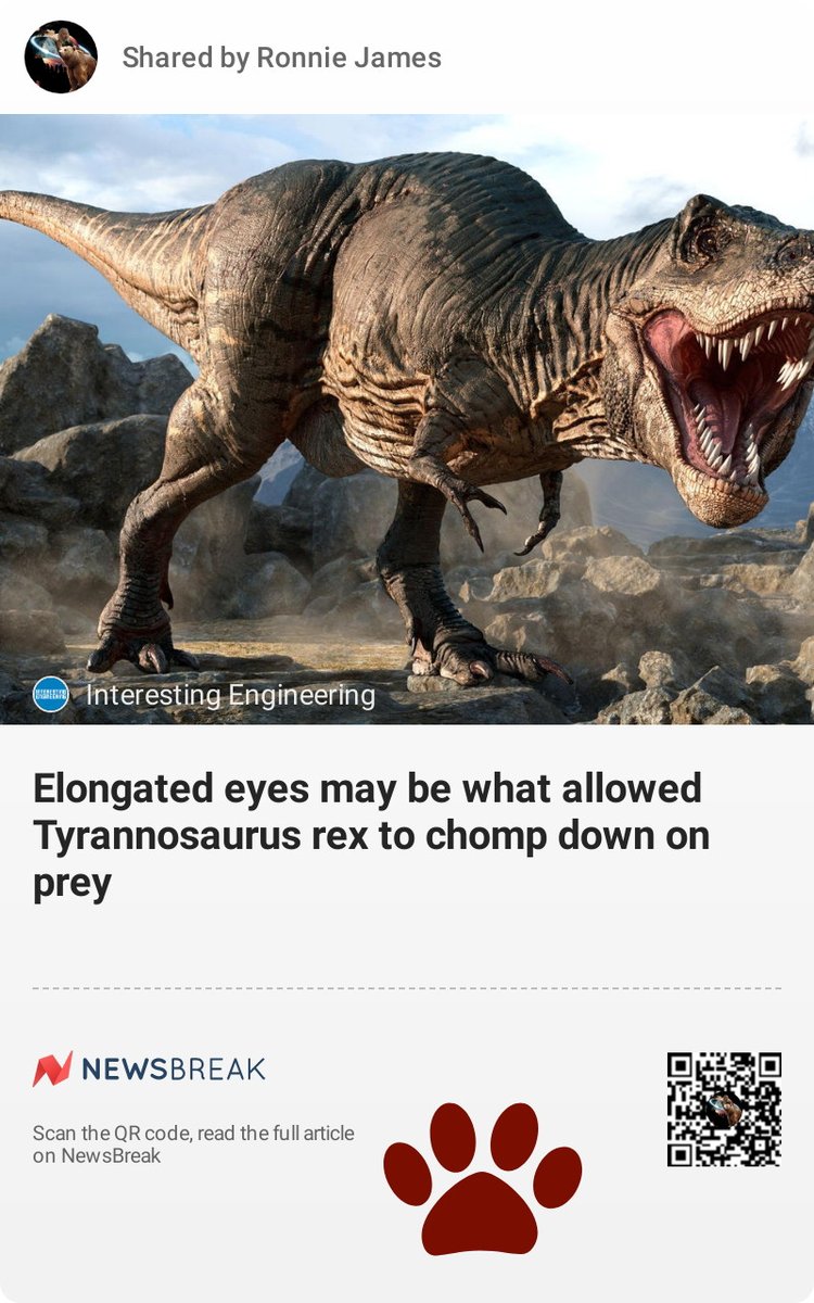 freddy (@freddy1963mail1) on Twitter photo 