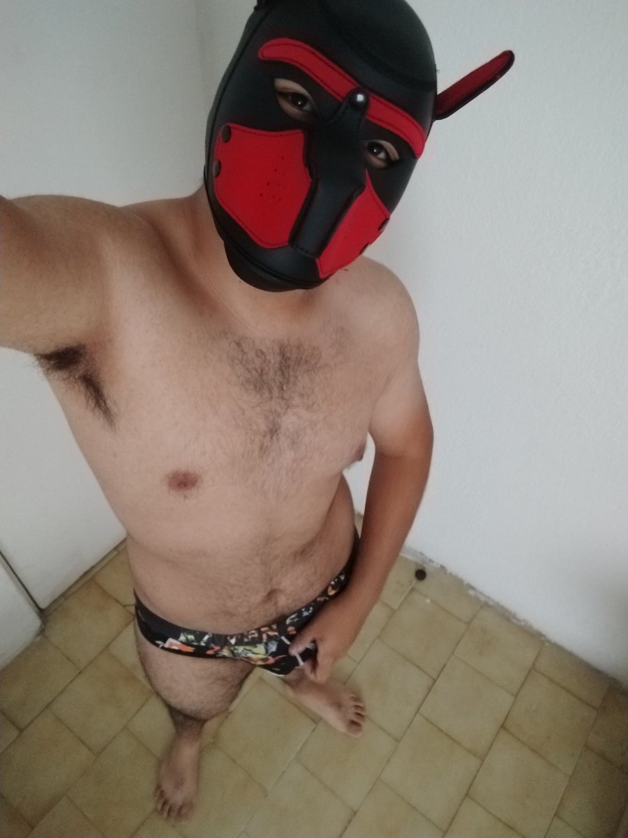 😍😋🐶