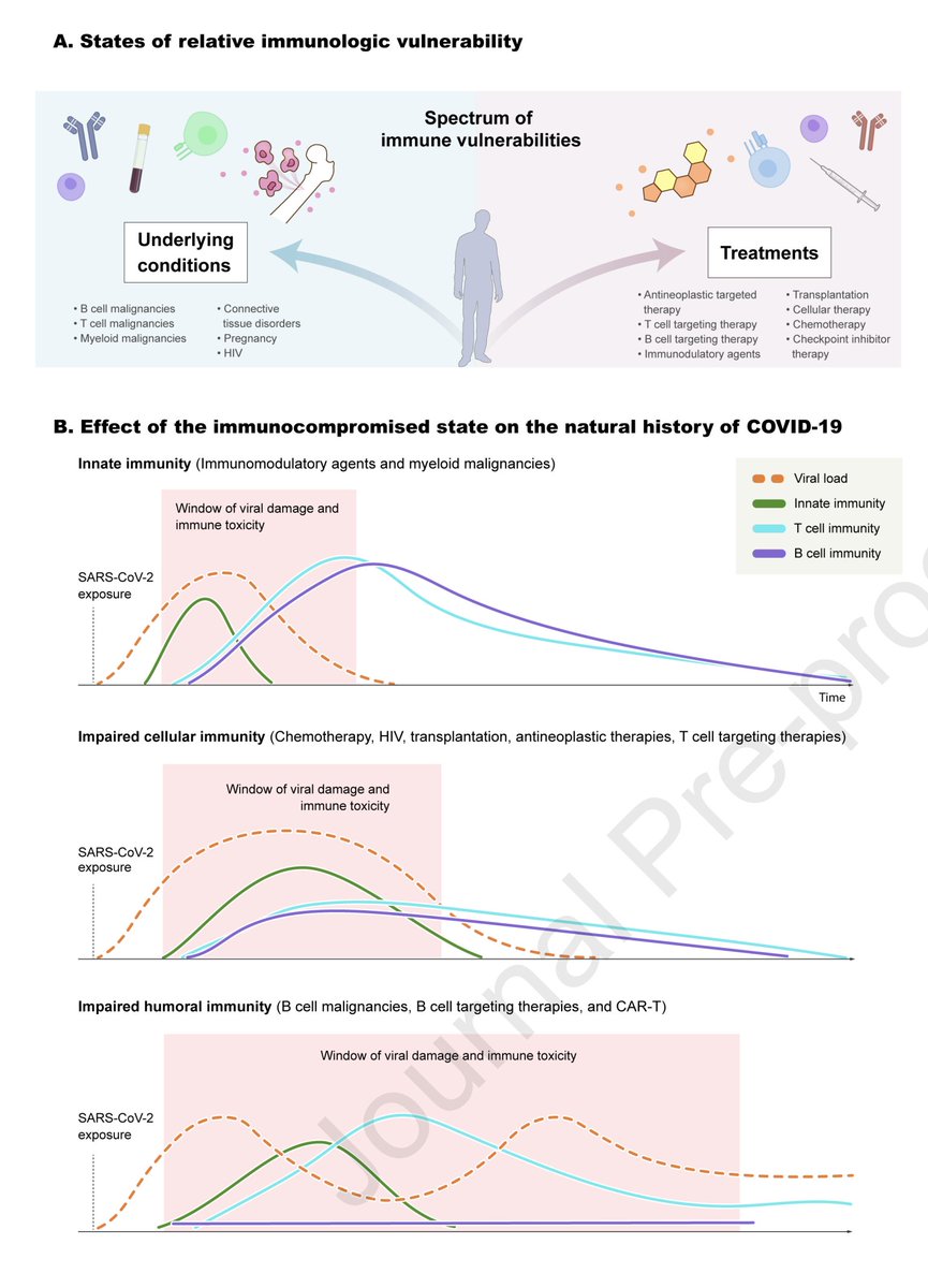 Eric Topol (@erictopol) on Twitter photo A new and outstanding review of Covid/#SARSCoV2 in immunocompromised individuals
cell.com/immunity/fullt… <a href="/ImmunityCP/">Immunity</a> <a href="/dewolf_susan/">Susan DeWolf</a> <a href="/SantoshVardhana/">Santosh Vardhana</a> <a href="/MSKCancerCenter/">Memorial Sloan Kettering Cancer Center</a> A new and outstanding review of Covid/#SARSCoV2 in immunocompromised individuals
cell.com/immunity/fullt… <a href="/ImmunityCP/">Immunity</a> <a href="/dewolf_susan/">Susan DeWolf</a> <a href="/SantoshVardhana/">Santosh Vardhana</a> <a href="/MSKCancerCenter/">Memorial Sloan Kettering Cancer Center</a>