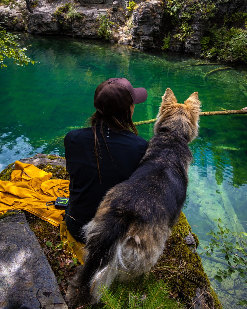 zoleolifeus's tweet photo. The two best sidekicks. #ZOLEOlife #dogsthathike

📷: shutter_up_new on IG

#ZOLEO #hiking #offthegrid #outdoorsafety #noservicenoproblem #satcom #stayconnected #greatoutdoors https://t.co/9EvoLWGC3P